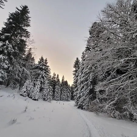 Les Bouvreuils, Vue Alpes & Leman, Jardin Prive Saint-Cergue