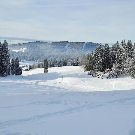 Les Bouvreuils, Vue Alpes & Leman, Jardin Prive *