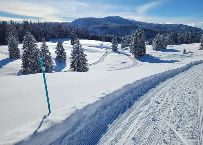 Les Bouvreuils, Vue Alpes & Leman, Jardin Prive Апартаменты