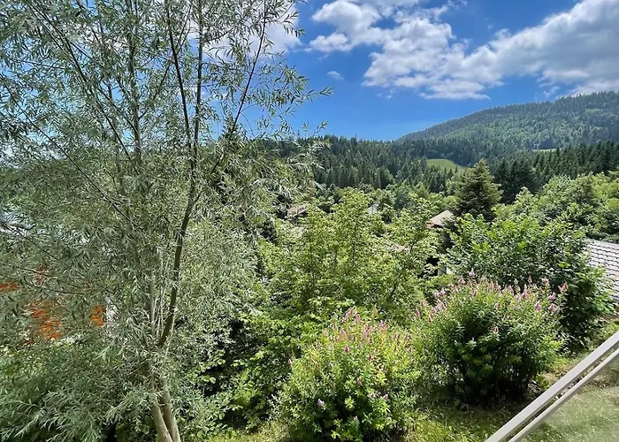 Апартаменты Les Bouvreuils, Vue Alpes & Leman, Jardin Prive Сен-Серг