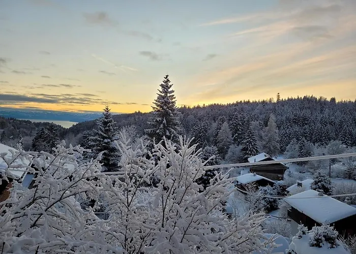 Les Bouvreuils, Vue Alpes & Leman, Jardin Prive * Saint-Cergue