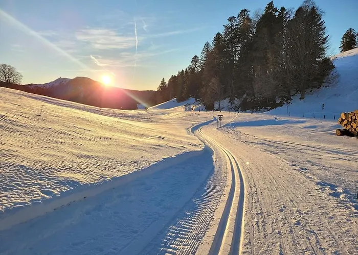Les Bouvreuils, Vue Alpes & Leman, Jardin Prive Апартаменты *