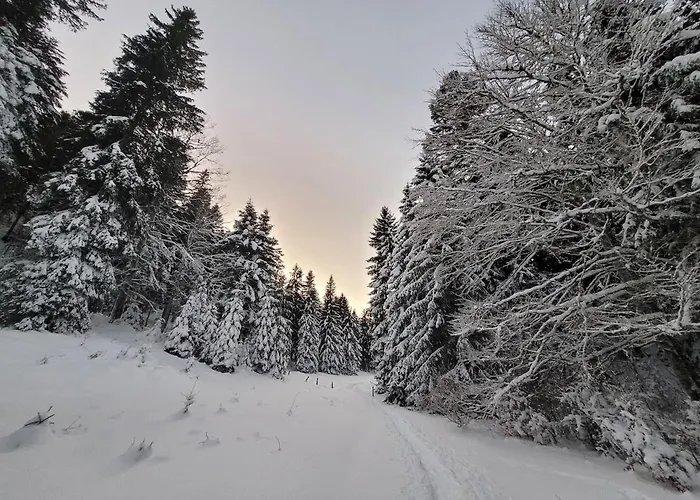 Les Bouvreuils, Vue Alpes & Leman, Jardin Prive Сен-Серг