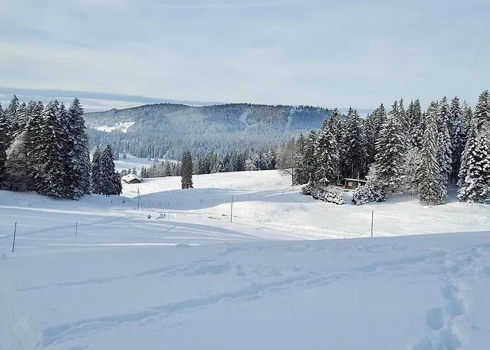 Les Bouvreuils, Vue Alpes & Leman, Jardin Prive *