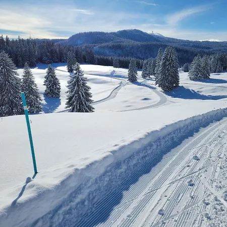 Les Bouvreuils, Vue Alpes&léman, Jardin Privé Appartement