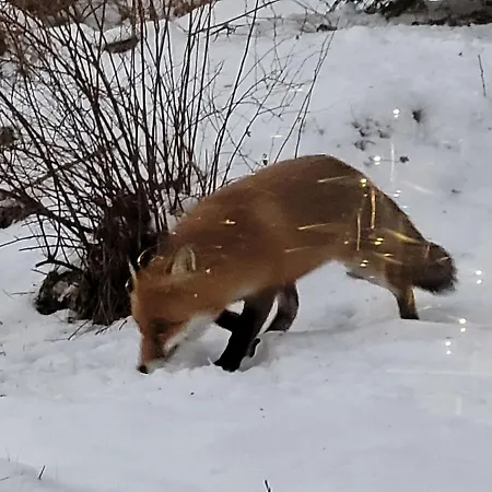 Appartement Les Bouvreuils, Vue Alpes&léman, Jardin Privé *