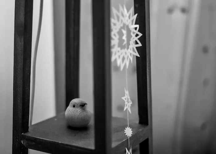 Les Bouvreuils, Vue Alpes&léman, Jardin Privé Saint-Cergue