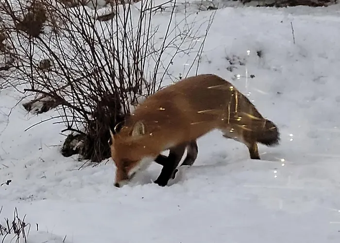 Appartement Les Bouvreuils, Vue Alpes&léman, Jardin Privé *